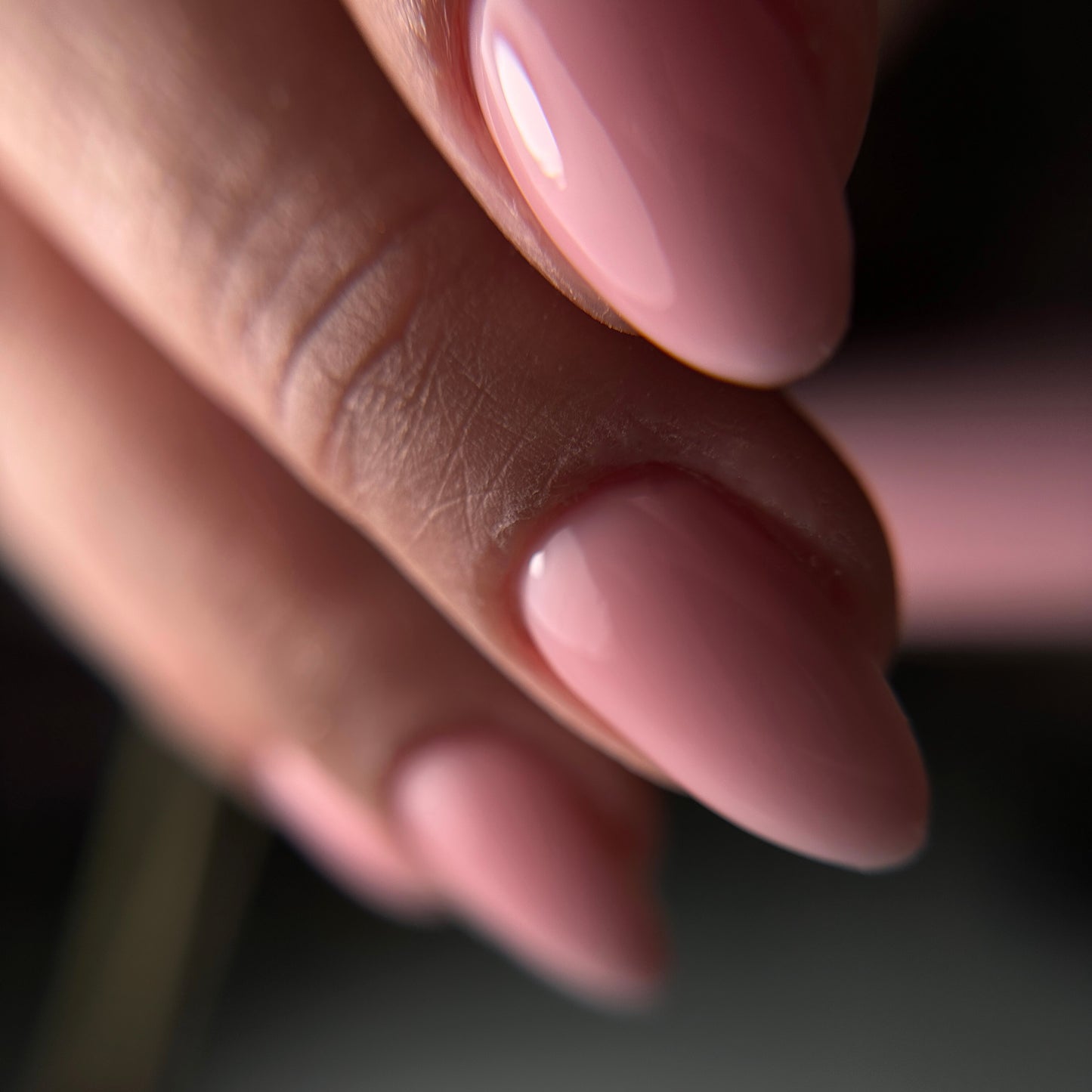 "ZARETH" Flexy Builder