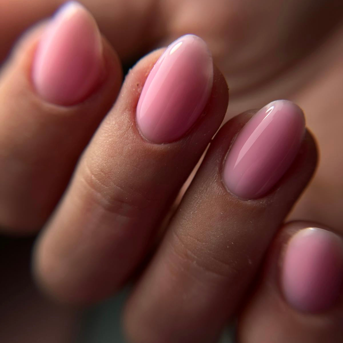 "DYMARIS" Flexy Builder